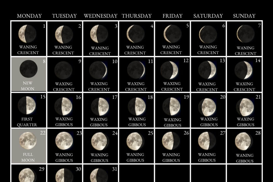 Discover Everything You Need to Know About Watching the March 2027 Full Moon 51 MARCH 2027 1