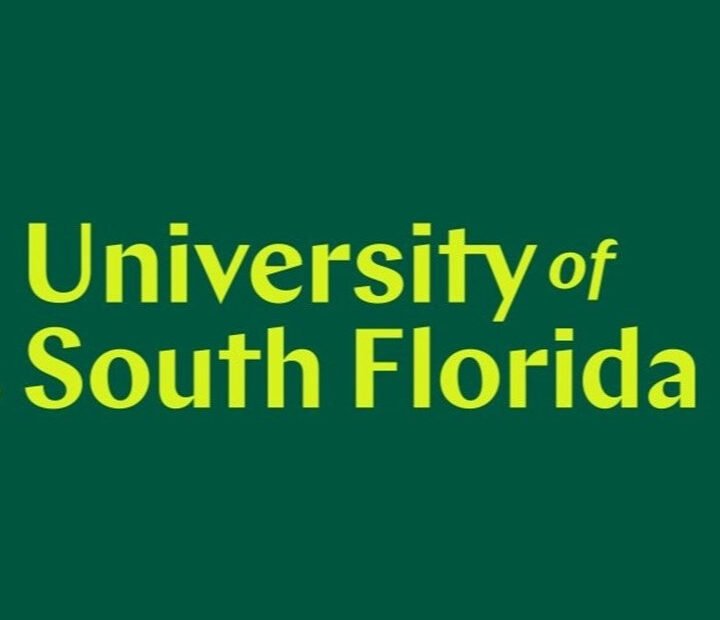 Discover the Exciting Curriculum Available for Fall 2027 at USF 94 09b75c 48ef161988334ed8a77fb30857f40c27mv2